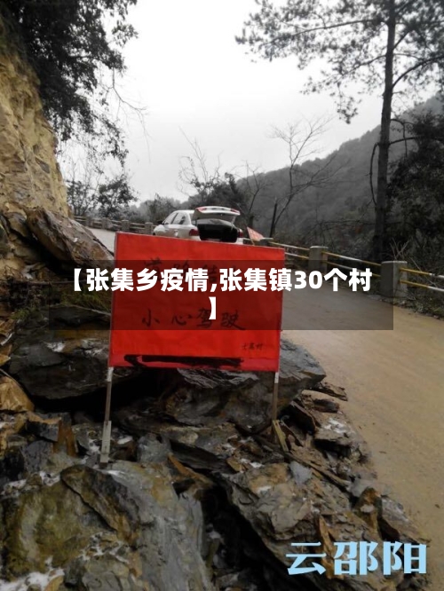 【张集乡疫情,张集镇30个村】