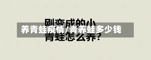 养青蛙疫情/青养蛙多少钱-第2张图片