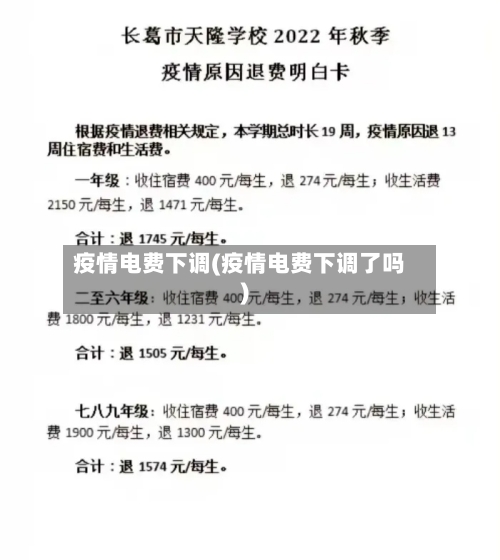 疫情电费下调(疫情电费下调了吗)