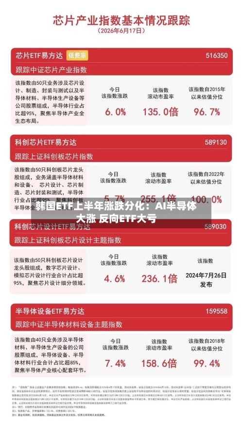 韩国ETF上半年涨跌分化:AI半导体大涨 反向ETF大亏-第2张图片