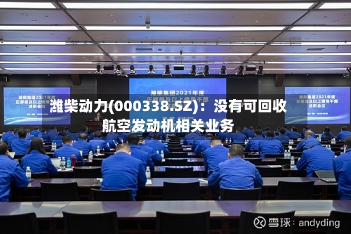 潍柴动力(000338.SZ)：没有可回收航空发动机相关业务-第2张图片