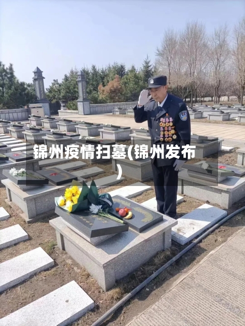 锦州疫情扫墓(锦州发布)-第2张图片