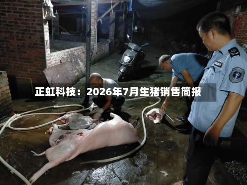 正虹科技:2026年7月生猪销售简报-第2张图片