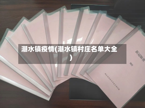 潮水镇疫情(潮水镇村庄名单大全)