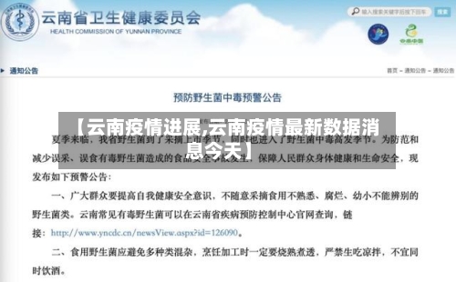【云南疫情进展,云南疫情最新数据消息今天】-第3张图片