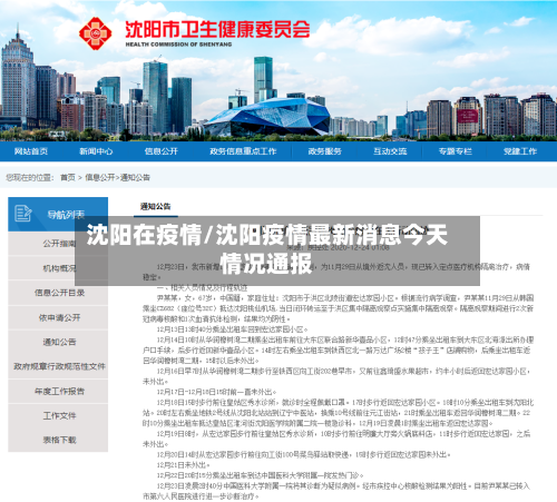 沈阳在疫情/沈阳疫情最新消息今天情况通报-第2张图片