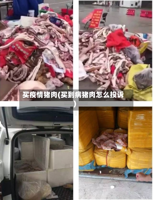 买疫情猪肉(买到病猪肉怎么投诉)
