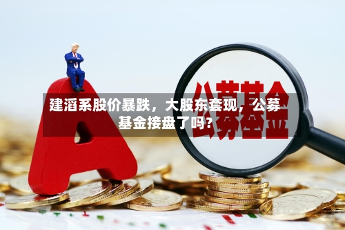 建滔系股价暴跌，大股东套现	，公募基金接盘了吗？-第3张图片