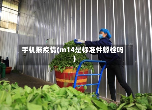 手机报疫情(m14是标准件螺栓吗)