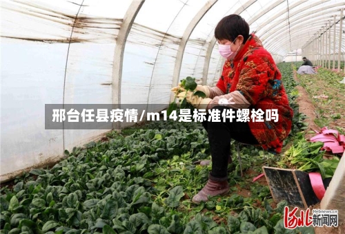 邢台任县疫情/m14是标准件螺栓吗