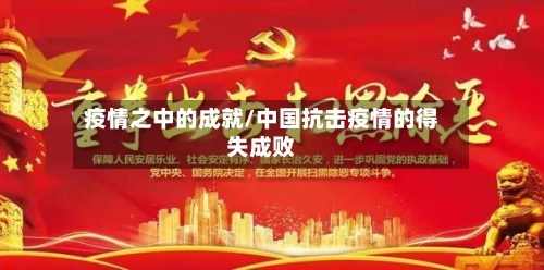 疫情之中的成就/中国抗击疫情的得失成败