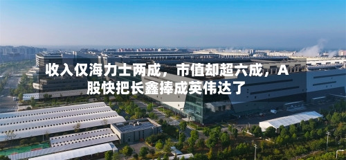收入仅海力士两成	，市值却超六成，A股快把长鑫捧成英伟达了-第2张图片