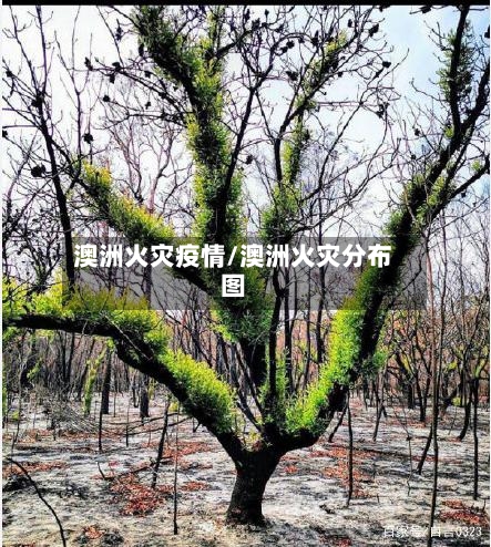 澳洲火灾疫情/澳洲火灾分布图-第2张图片