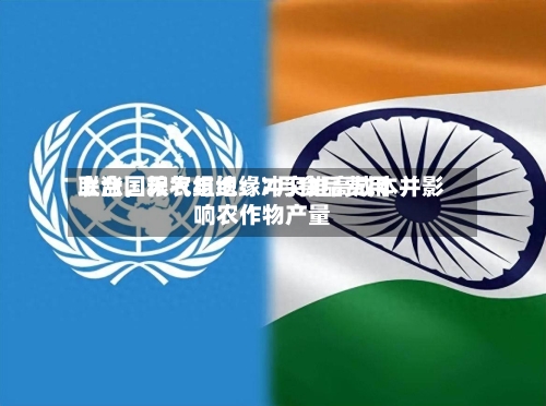 联合国粮农组织：7月食品费用上涨	，天气与地缘冲突推高成本并影响农作物产量-第2张图片