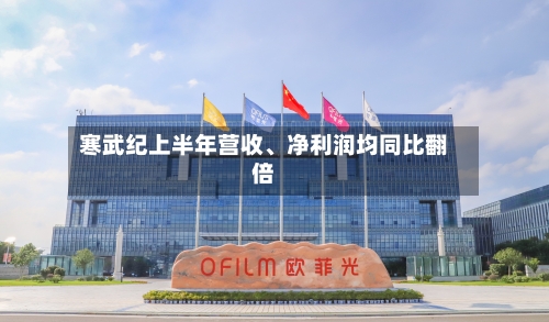 寒武纪上半年营收、净利润均同比翻倍-第2张图片