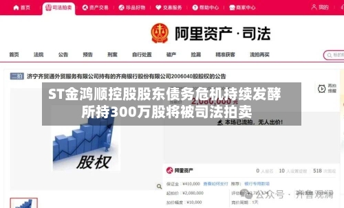 ST金鸿顺控股股东债务危机持续发酵 所持300万股将被司法拍卖