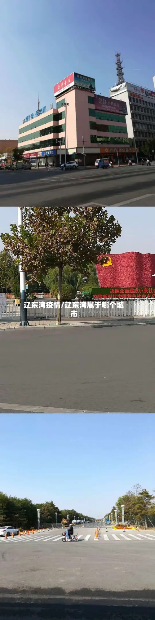 辽东湾疫情/辽东湾属于哪个城市-第3张图片