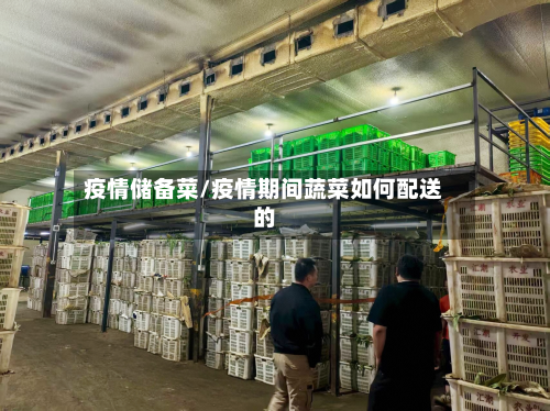 疫情储备菜/疫情期间蔬菜如何配送的