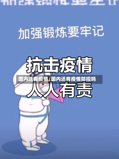 国内还有疫情/国内还有疫情防控吗
