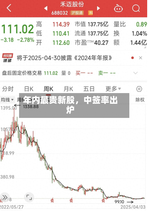 年内最贵新股，中签率出炉-第2张图片