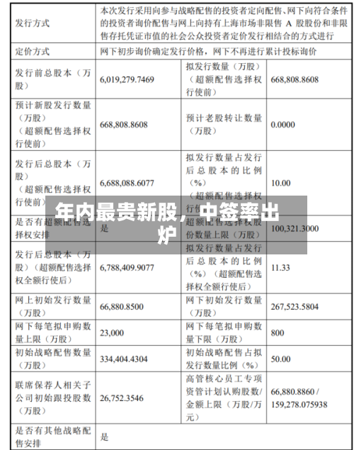 年内最贵新股，中签率出炉-第3张图片