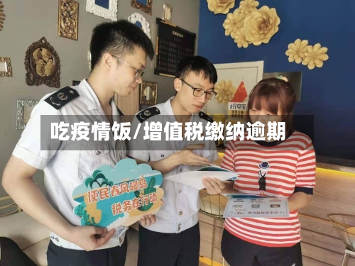 吃疫情饭/增值税缴纳逾期-第3张图片