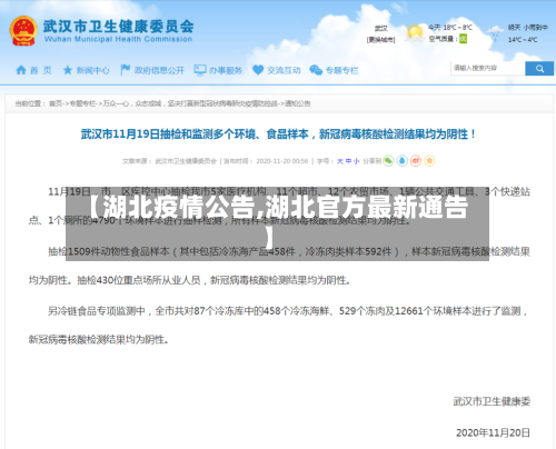 【湖北疫情公告,湖北官方最新通告】