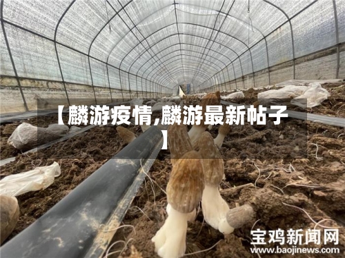 【麟游疫情,麟游最新帖子】