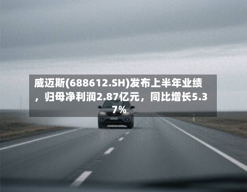 威迈斯(688612.SH)发布上半年业绩，归母净利润2.87亿元	，同比增长5.37%-第2张图片