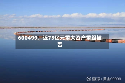 600499，近75亿元重大资产重组被否
