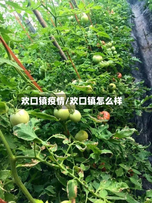 欢口镇疫情/欢口镇怎么样