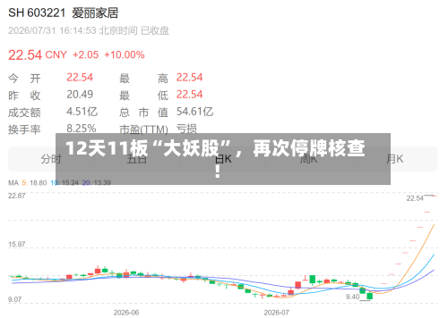 12天11板“大妖股	”，再次停牌核查！-第2张图片