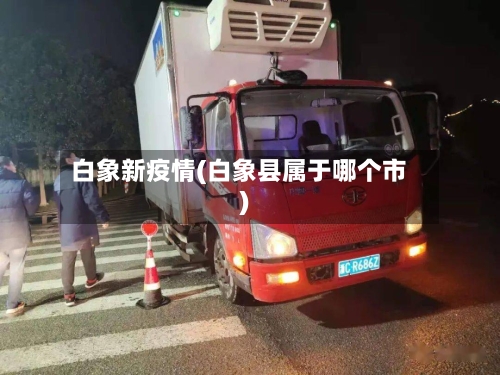 白象新疫情(白象县属于哪个市)