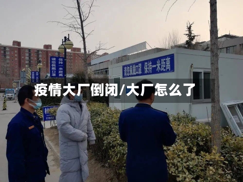 疫情大厂倒闭/大厂怎么了-第2张图片