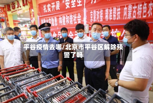 平谷疫情去哪/北京市平谷区解除预警了吗