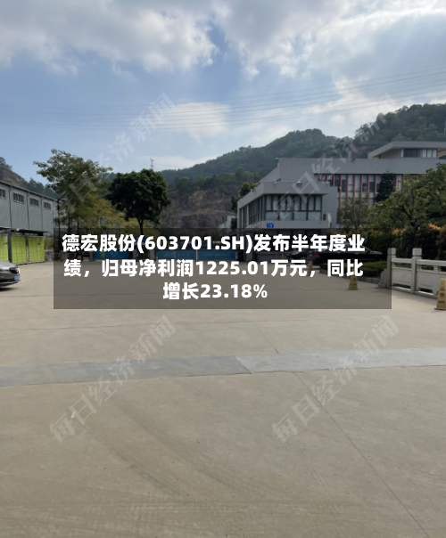 德宏股份(603701.SH)发布半年度业绩，归母净利润1225.01万元，同比增长23.18%-第2张图片