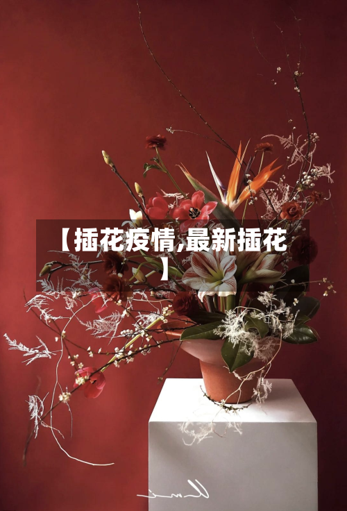 【插花疫情,最新插花】