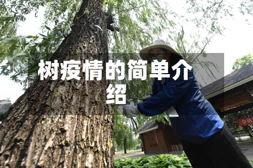 树疫情的简单介绍