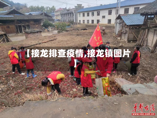 【接龙排查疫情,接龙镇图片】