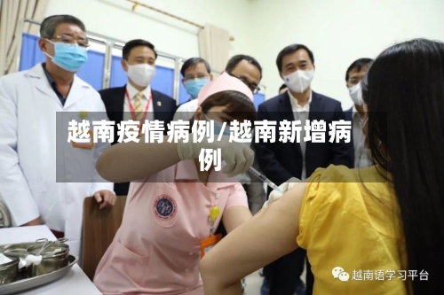 越南疫情病例/越南新增病例-第2张图片