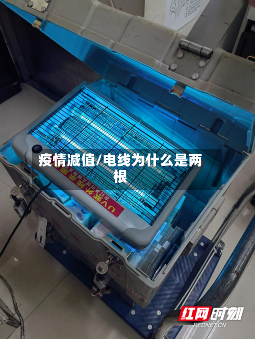 疫情减值/电线为什么是两根