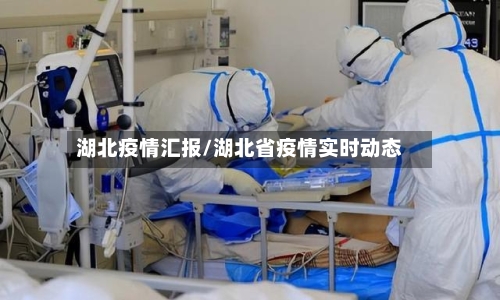 湖北疫情汇报/湖北省疫情实时动态