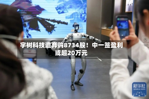 宇树科技遭弃购8734股!中一签盈利或超20万元-第2张图片