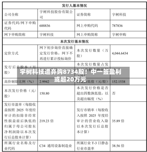 宇树科技遭弃购8734股！中一签盈利或超20万元