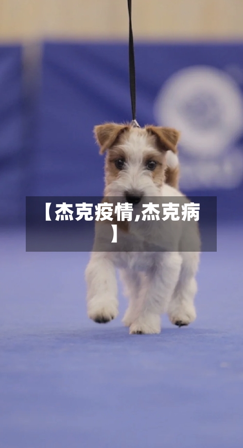 【杰克疫情,杰克病】-第3张图片