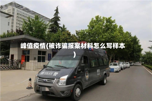 峰值疫情(被诈骗报案材料怎么写样本)-第2张图片