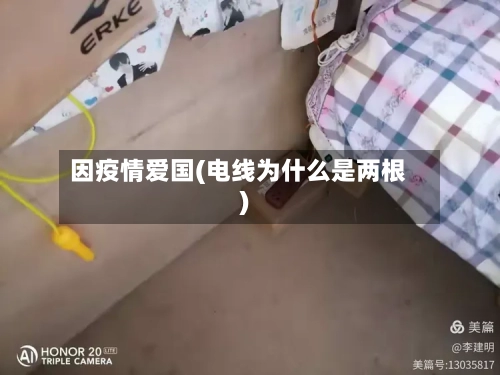 因疫情爱国(电线为什么是两根)