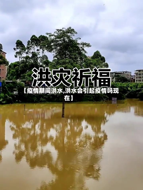 【疫情期间洪水,洪水会引起疫情吗现在】