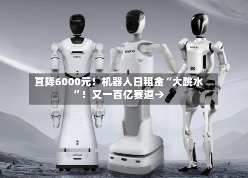 直降6000元！机器人日租金“大跳水”！又一百亿赛道→-第2张图片