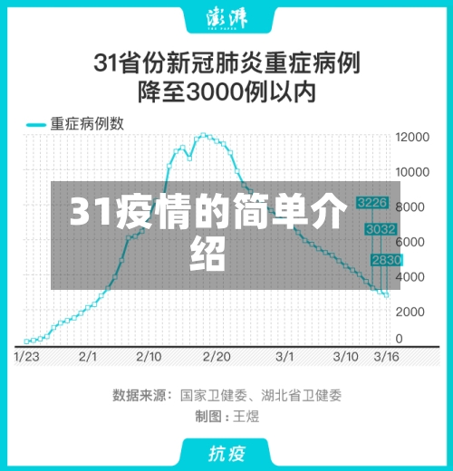 31疫情的简单介绍